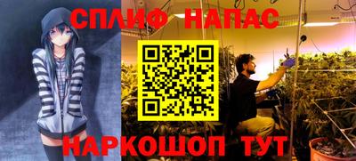соль ск Гатчина