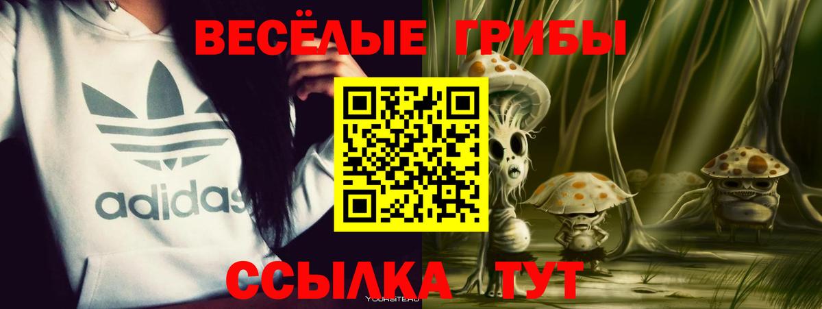 Псилоцибиновые грибы Psilocybe Пугачёв