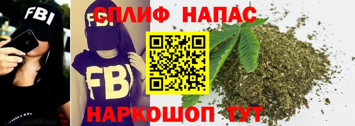 Каннабис MAZAR Пугачёв